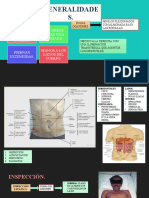 Examen Físico Del Abdomen