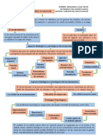 Mapa Conceptual