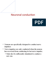 Neuronal Conduction1