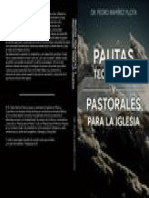 Pauta Teologicas y Pastorales para La Iglesia