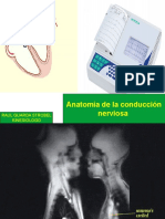 3-Ecg Anatomia