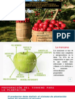 Bromatologia Manzana 1