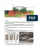 Module 8 (Exogenic Processes)