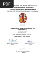 PDF Documento