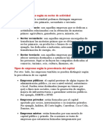 Tipos de Empresas Según Su Sector de Actividad