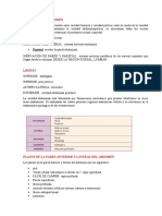 Anatomia Abdomen Agudo Clase 1 2 y 3