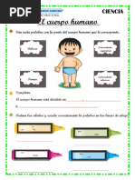 C.A 02 Cuerpo Humano