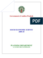 Apeconomicsurvey2009 10final