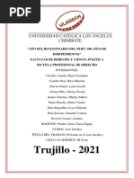 11-El Fraude en El Acto Jurídico, Trujillo