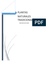 MEDICINAS NATURALES Hechos en Casa