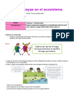 Las Taricayas en El Ecosistema Dia - 19 - de - Octubre