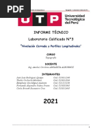 Informe Tecnico 3 - Topografia