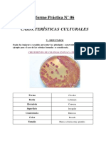 Características Culturales 6