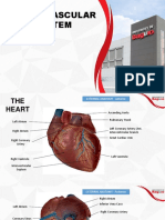 ANPATH1 Cardiovascular System