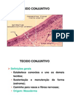 Aula Tecido Conjuntivo 1