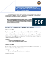 Audit Caiet de Practica An 2 S2 2021