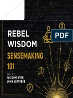 Rebel Wisdom: Sensemaking 101