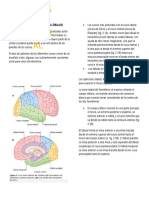 ESTRUCTURA