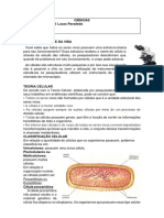 Ciências 6° Ano - Célula