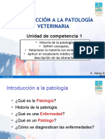 Patologia General Clase 1