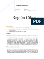 Region Ciliar Mariana Cartagena