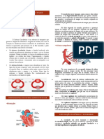 Sistema Cardiovascular Resumo