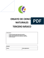 Ensayo de Ciencias Naturales Tercero Básico