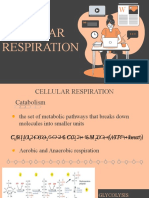 Cellular Respiration