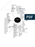 Mapa Cognitivo de Telaraña