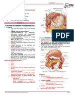 Lecture Stomach