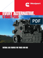 Every Alternative.: C Gas Plus