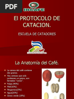 Protocolo de Catacion y Defectos 03