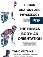 The Human Body (An Orientation)