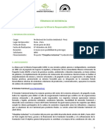 TDR Profesional Ambiental Peru Version Final