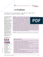 Epd 319675 48984 The Aetiologies of Epilepsy A