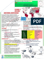 Neurologia 10 Neurocistecercosis y Otros Parasitos Del SN