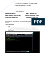 Fa19-Bcs-215 Lab Report