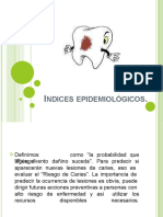 Exposicion Cariologia