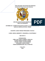 Informe Final Medio Ambiente