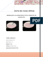 Observação Ao Microscópio Ótico Composto de Leucócitos