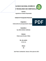 Instrumentos de Presupuestación - Presupuesto Financiero