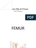 Anatomi Hip & Femur