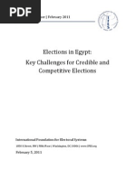 2011 Egypt Briefing Paper