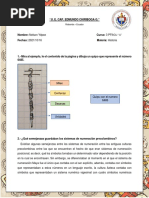 Historia Semana 7