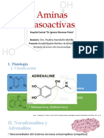 Aminas Vasoactivas (Autoguardado)