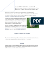 Types of Mushroom Spawn