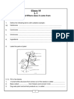 CBSE Class 6 Food-Where Does It Come From Worksheet