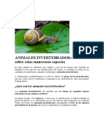 Animales Invertebrados