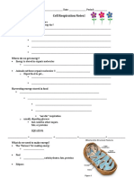 Cell Respiration Notes!: Energy Needs of Life