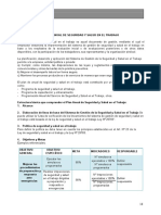 Plan Anual de Seguridad y Salud en El Trabajo RM 050